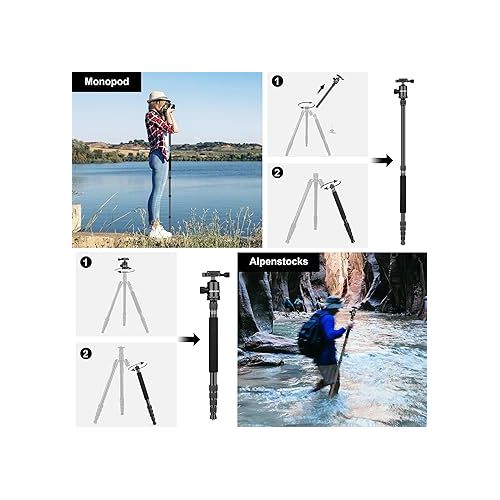  80/85 inches Heavy Duty Tripod for Camera and Phone, 85