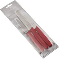 [아마존베스트]Victorinox Vegetable Knife Set in Plastic Case, 3 Piece Set