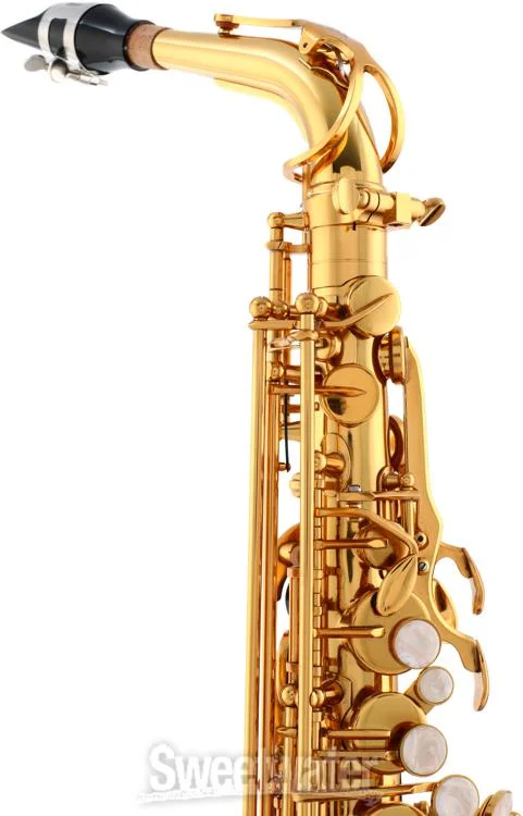  Victory Musical Instruments Triumph Series Student Alto Saxophone - Gold Lacquer