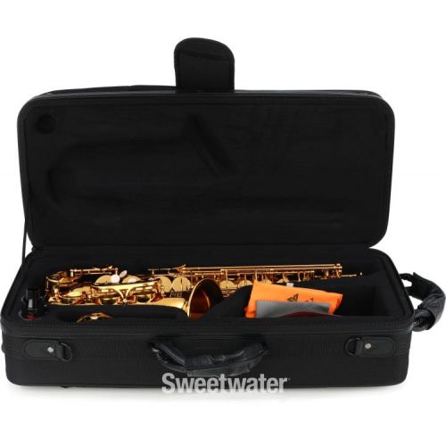  Victory Musical Instruments Triumph Series Student Alto Saxophone - Gold Lacquer