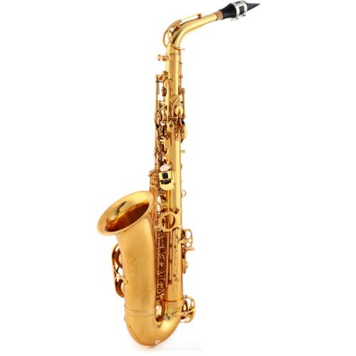  Victory Musical Instruments Triumph Series Student Alto Saxophone - Gold Lacquer