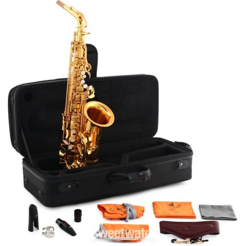  Victory Musical Instruments Triumph Series Student Alto Saxophone - Gold Lacquer