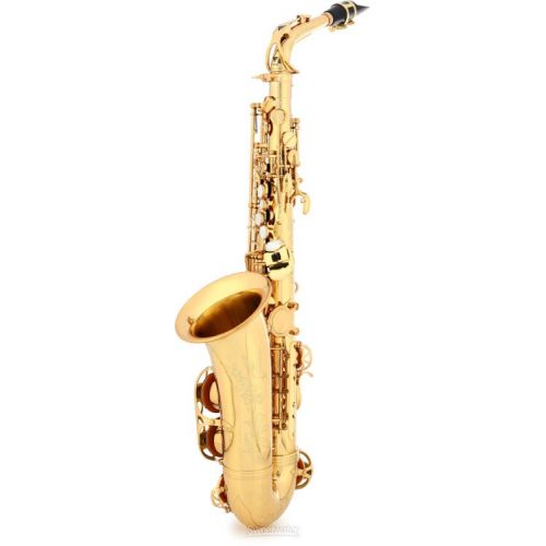  Victory Musical Instruments Revelation Series Professional Alto Saxophone - Gold Lacquer