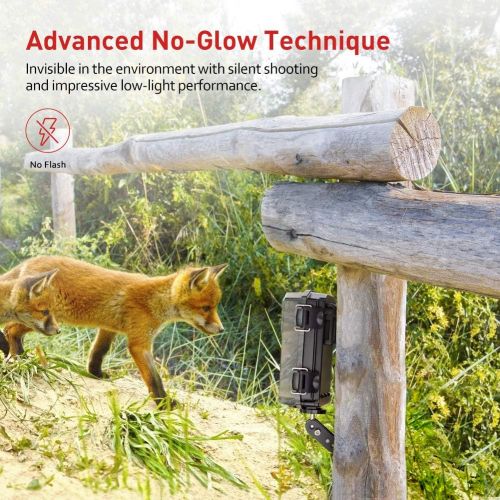  [아마존 핫딜]  [아마존핫딜]Victure Trail Game Camera 16MP 1080P Full HD with Waterproof Clamshell Design No Glow Hunting Camera with Night Vision Motion Activated for Wildlife Watching