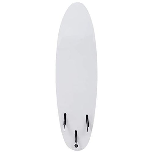  VidaXL vidaXL Surfboard 170 cm 3 mm Surfboard Shortboard Stand Up Board Wave Rider