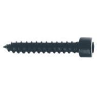 Visaton Wood screws 24 pieces