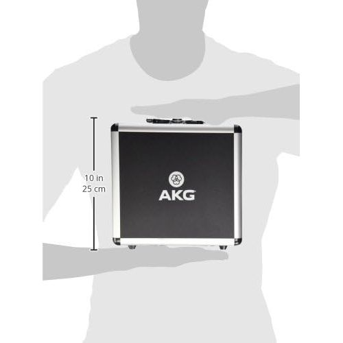  AKG P220 High-Performance Vocal Condenser Microphone