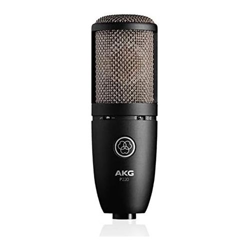  AKG P220 High-Performance Vocal Condenser Microphone