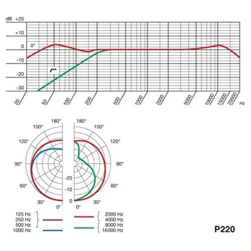  AKG P220 High-Performance Vocal Condenser Microphone