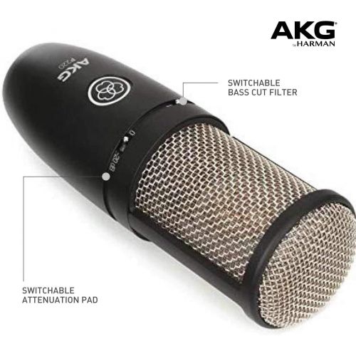  AKG P220 High-Performance Vocal Condenser Microphone