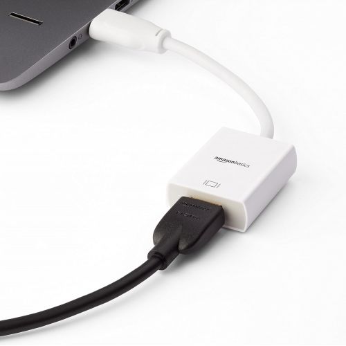  AmazonBasics DisplayPort to HDMI Adapter