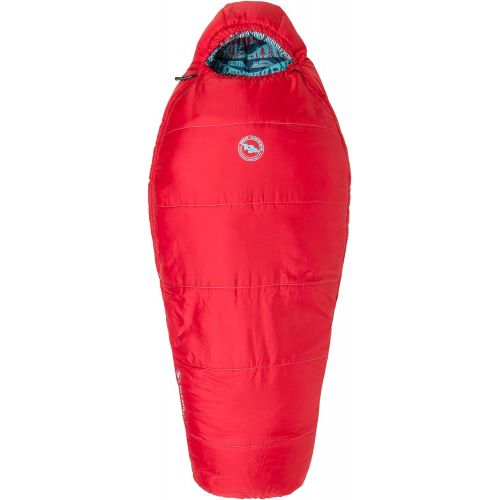  Big Agnes Wolverine 15 Kids Synthetic Sleeping Bag