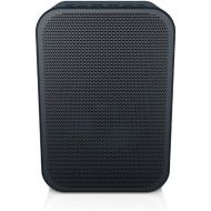 Bluesound PULSE FLEX Portable Wireless Multi-room Smart Speaker with Bluetooth - Black