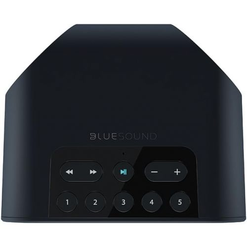  Bluesound PULSE FLEX Portable Wireless Multi-room Smart Speaker with Bluetooth - Black