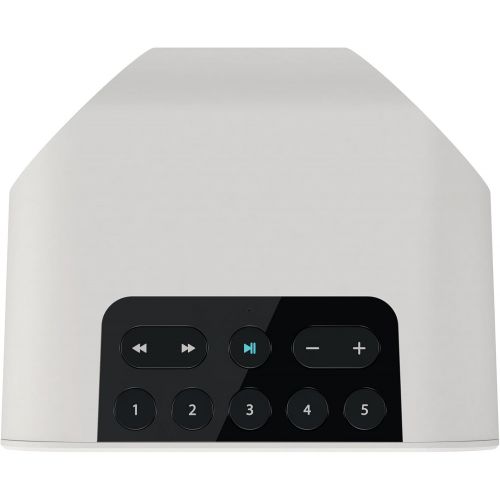  Bluesound PULSE FLEX Portable Wireless Multi-room Smart Speaker with Bluetooth - Black