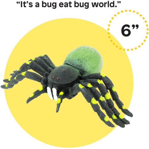  Visit the Boley Store Boley 12 Pack Insects - Perfect for Imaginative Play, Pretend Activities, Party Favors - Realistic Beetles, Grasshoppers, Flies, and More! Great Stocking Stuffers!