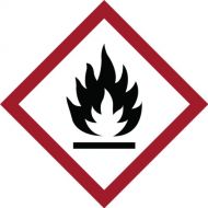 Brady 121189 Polyester GHS Flammable Picto Label, BlackRed On White, 4 Height x 4 Width, Pictogram Flammable (250 Labels per Roll, 1 Roll per Package)