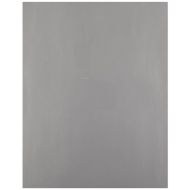 Brady LAT-28-773-25-SH 8.5 Width x 11 Height, B-773 Metallized Polyester, Matte Finish Silver Laser Printable Label (Pack of 25)