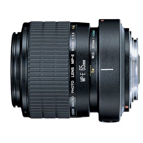캐논 Canon MP-E 65mm f2.8 1-5X Macro Lens for Canon SLR Cameras