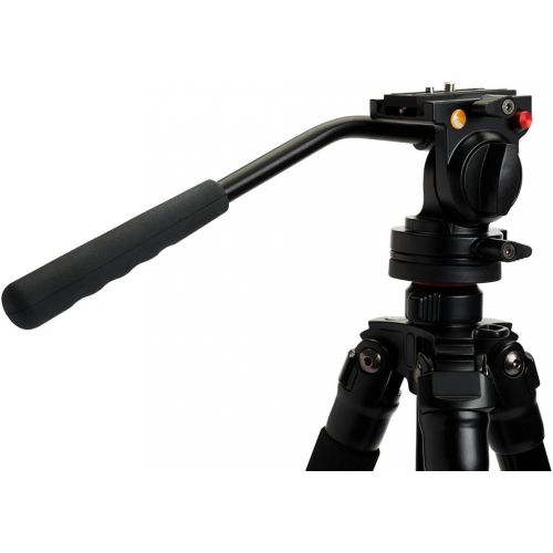 셀레스트론 Celestron 82052 Tripod, Regal Premium (Black)