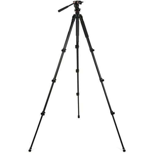 셀레스트론 Celestron 82052 Tripod, Regal Premium (Black)