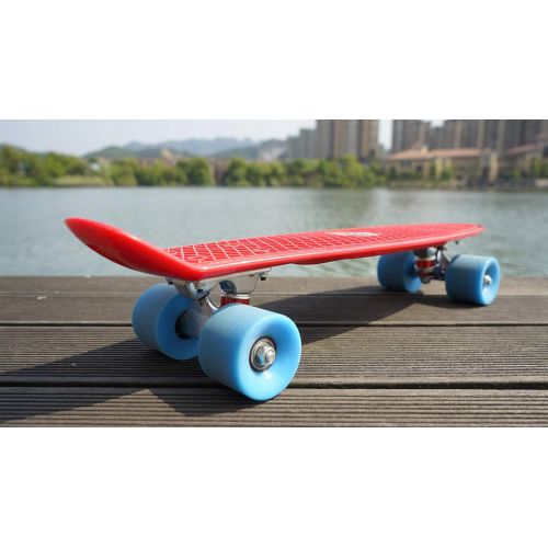  DINBIN Complete Highly Flexible Plastic Cruiser Board Mini 22 Inch Skateboards for Beginners or Professional, ABEC-7 High Speed Bearings, High Rebound PU Wheels (220 Pounds)