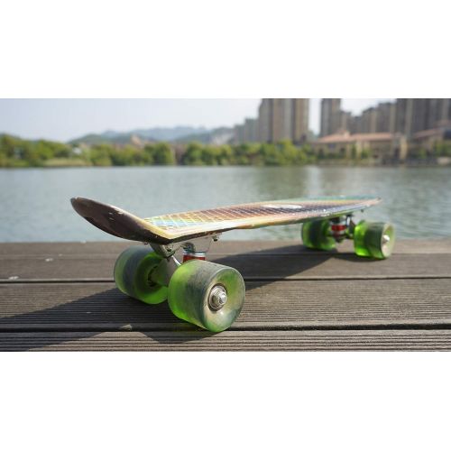  DINBIN Complete Highly Flexible Plastic Cruiser Board Mini 22 Inch Skateboards for Beginners or Professional, ABEC-7 High Speed Bearings, High Rebound PU Wheels (220 Pounds)