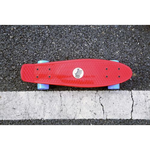  DINBIN Complete Highly Flexible Plastic Cruiser Board Mini 22 Inch Skateboards for Beginners or Professional, ABEC-7 High Speed Bearings, High Rebound PU Wheels (220 Pounds)