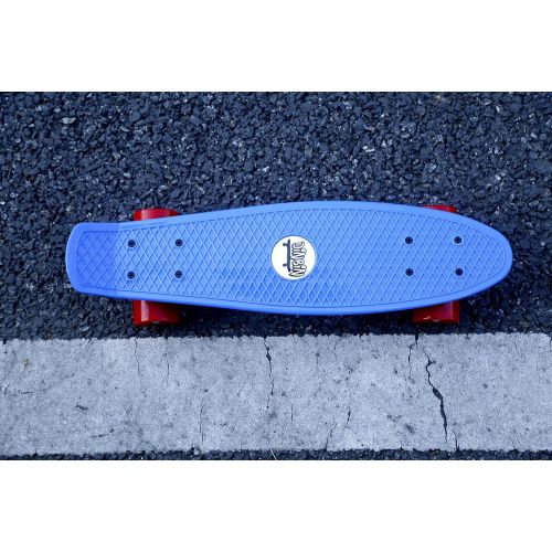  DINBIN Complete Highly Flexible Plastic Cruiser Board Mini 22 Inch Skateboards for Beginners or Professional, ABEC-7 High Speed Bearings, High Rebound PU Wheels (220 Pounds)