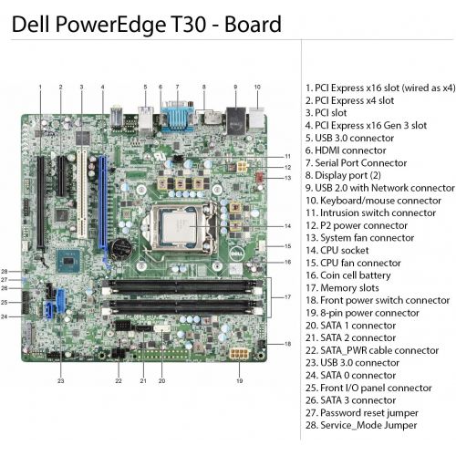 델 Dell PowerEdge T30 Tower Server - Intel Xeon E3-1225 v5 Quad-Core Processor up to 3.7 GHz, 32GB DDR4 Memory, 2TB (RAID 1) SATA Hard Drive, Intel HD Graphics P530, DVD Burner, No Op