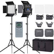 GVM LED Video Portrait Photographic Panel Lighting and Stand Kit, Black (672S-B2L)