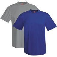 Visit the Hanes Store Hanes Mens Short Sleeve Cool Dri T-Shirt UPF 50+ (Pack of 2)