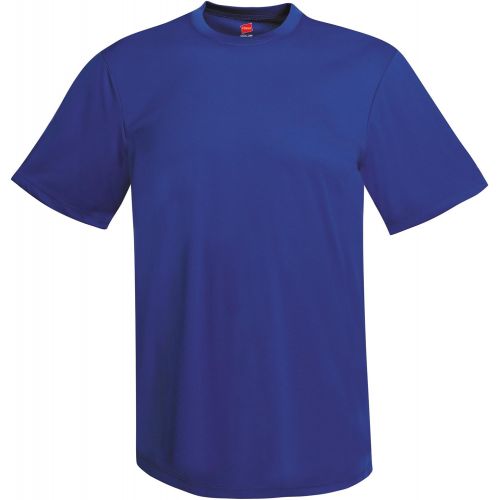  Visit the Hanes Store Hanes Mens Short Sleeve Cool Dri T-Shirt UPF 50+ (Pack of 2)