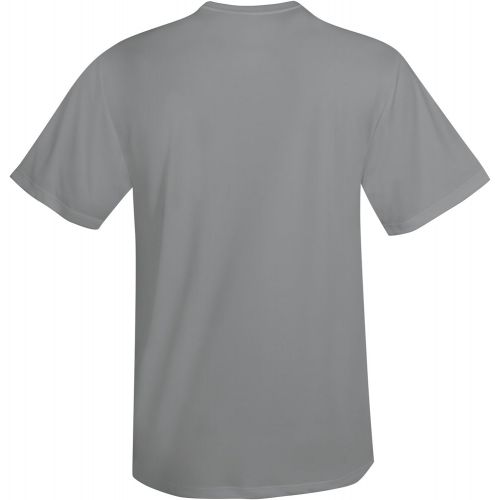  Visit the Hanes Store Hanes Mens Short Sleeve Cool Dri T-Shirt UPF 50+ (Pack of 2)