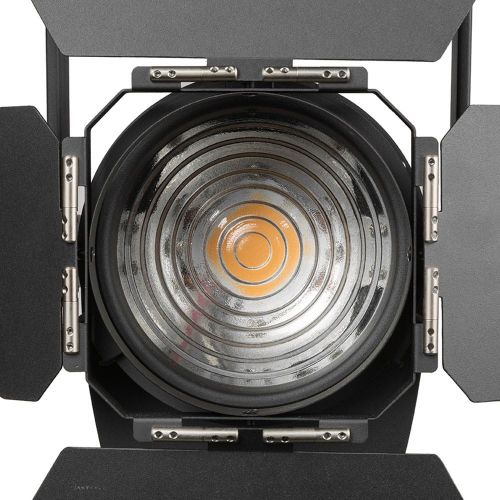  Ikan RS-F100 Red Star 4 LED Tungsten Fresnel 100 Watt Light (Black)