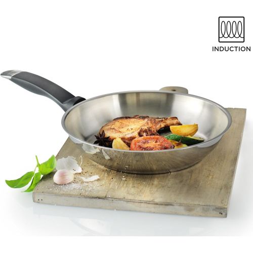  Kuhn Rikon Silver Star Uncoated Frying Pan, 11-Inch, Stainless Steel