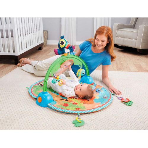 리틀 Little Tikes Baby - Good Vibrations Deluxe Activity Gym