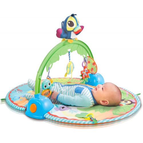 리틀 Little Tikes Baby - Good Vibrations Deluxe Activity Gym