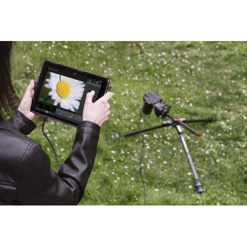  Manfrotto MVDDA13 Digital Director for iPad Air (Black)