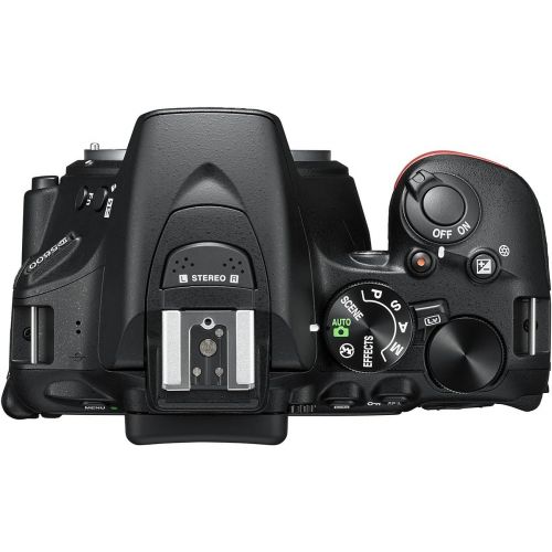 Nikon D5600 DX-Format Digital SLR Body