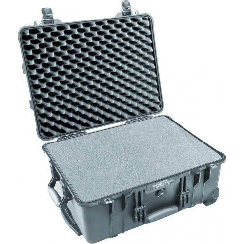  Pelican 1560 Case No Foam (Black)