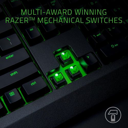 레이저 Razer BlackWidow Ultimate: Esports Gaming Keyboard - Dust and Spill Resistant - Individually Backlit Keys - Razer Green Mechanical Switches (Tactile and Clicky)