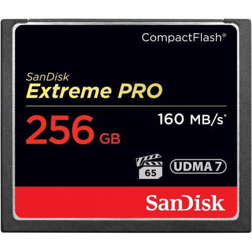 샌디스크 SanDisk Extreme PRO 128GB CompactFlash Memory Card UDMA 7 Speed Up To 160MBs- SDCFXPS-128G-X46