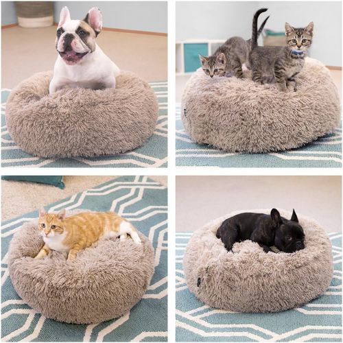  Visit the SportPet Designs Store SportPet Designs Luxury Waterproof Pet Bed