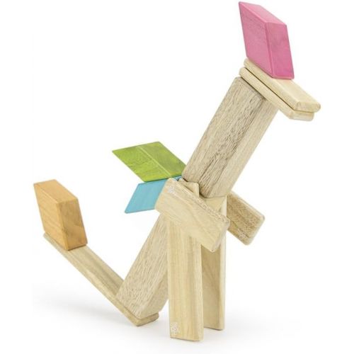  Visit the Tegu Store 4 piece Tegu Magnetic Wooden Block Parallelograms Set - Tints