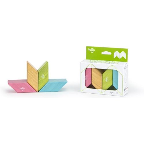  Visit the Tegu Store 4 piece Tegu Magnetic Wooden Block Parallelograms Set - Tints