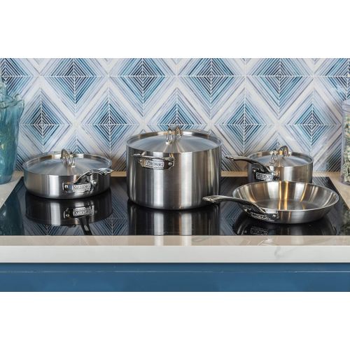  Viking Culinary Viking Professional 5-Ply Stainless Steel Cookware Set, 10 Piece