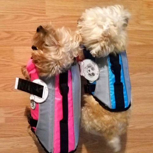  Vivaglory Dog Life Jackets with Extra Padding Pet Safety Vest for Dogs Lifesaver Preserver