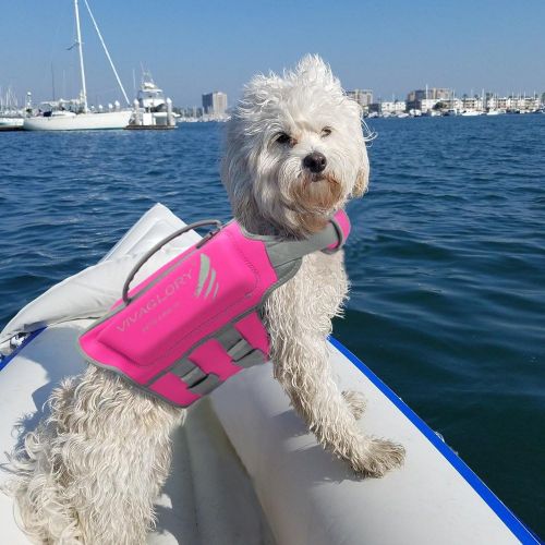  VIVAGLORY Dog Life Jackets, Premium Skin-Friendly Neoprene Dog Life Vest with Superior Buoyancy and Rescue Handle