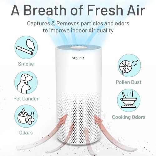  Vive Sequoia Air Purifier - for Home, Bedroom, Larger Room, H11 True HEPA Filter, 3 Stage Filtration, Eliminates Odors, Smoke, Dust, Pollen, Lint